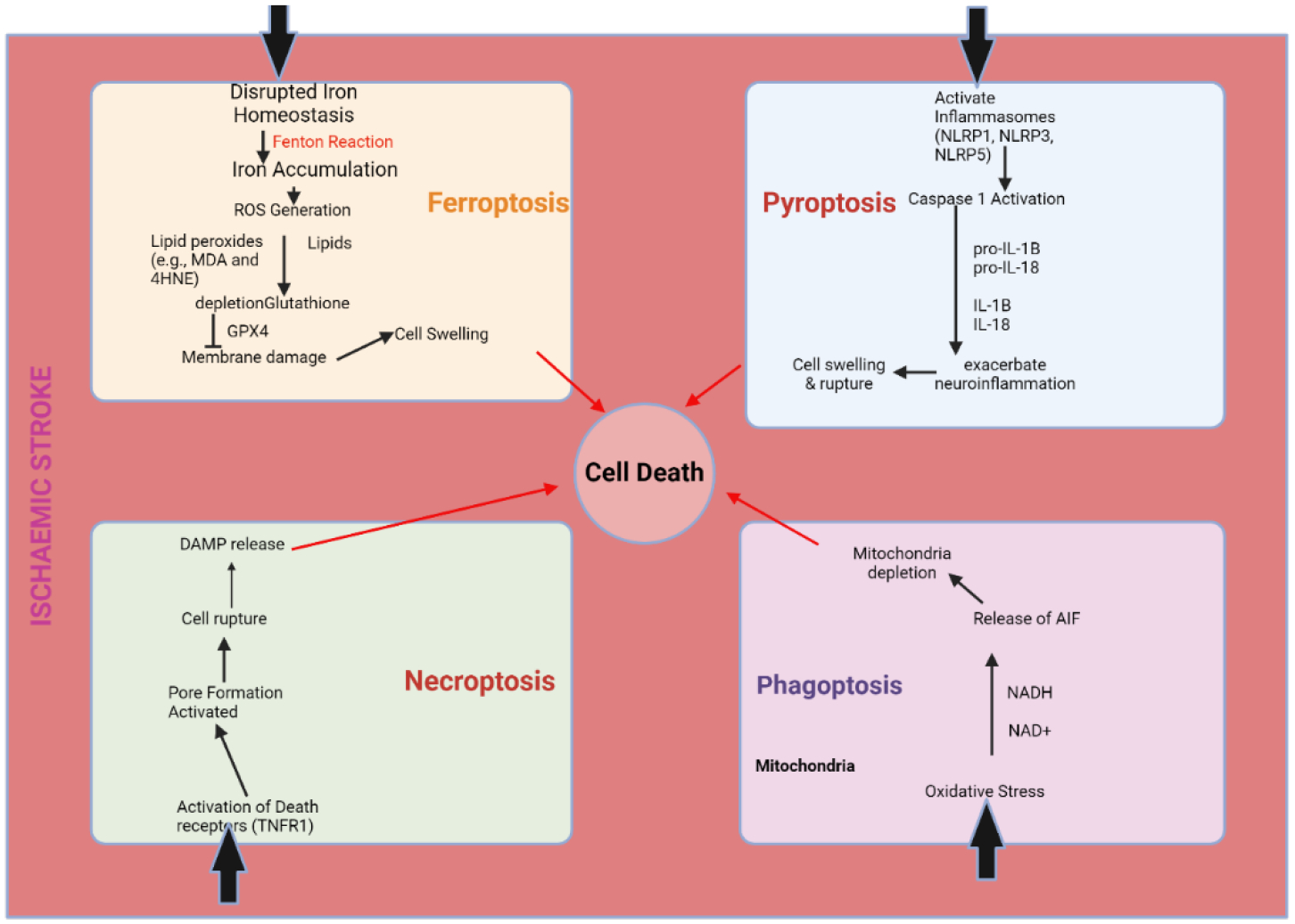 Figure 2: