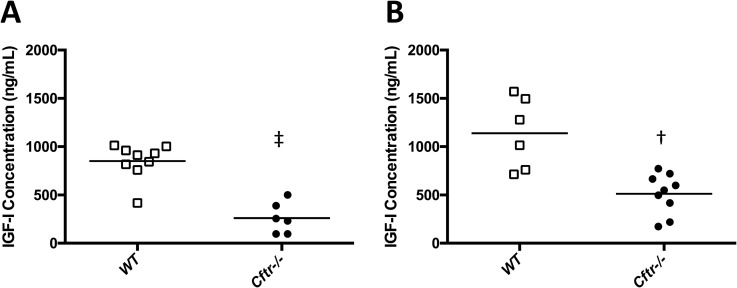 Fig 5