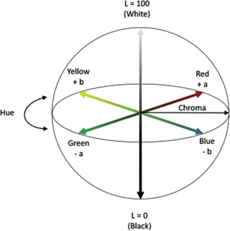 Fig. 7