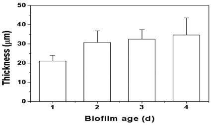 FIG. 5.