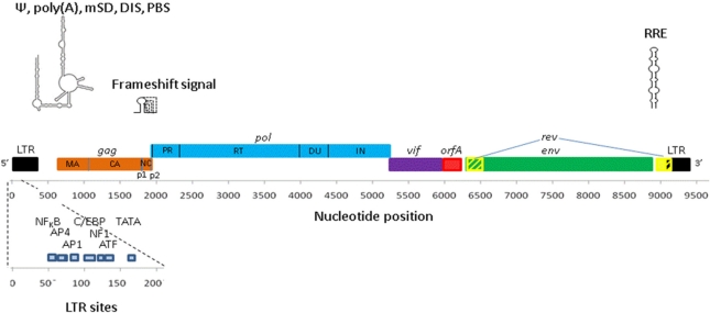 Figure 1.