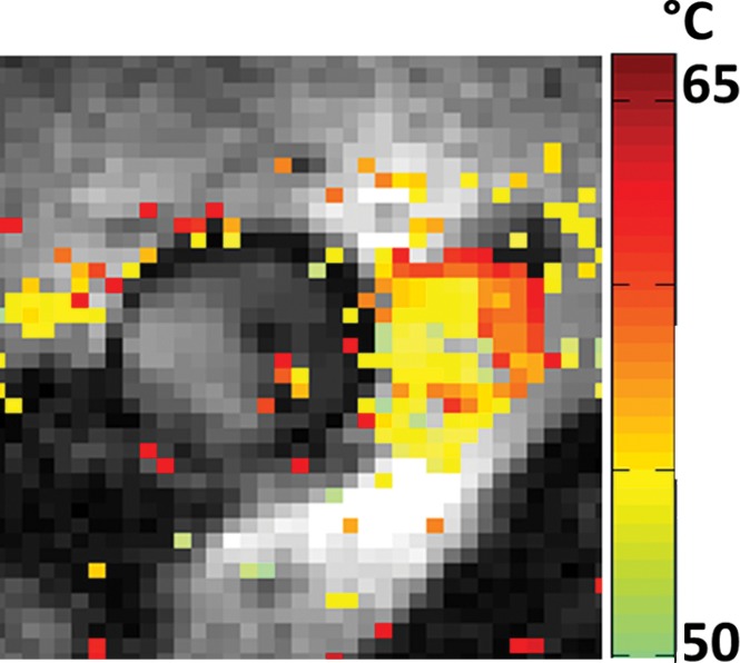 Figure 3c: