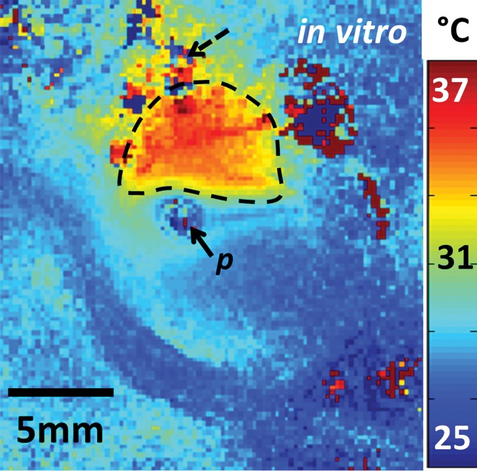 Figure 3b: