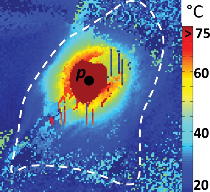 Figure 2a: