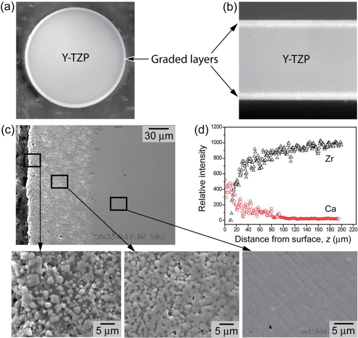 Figure 6: