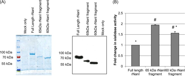 FIG 5