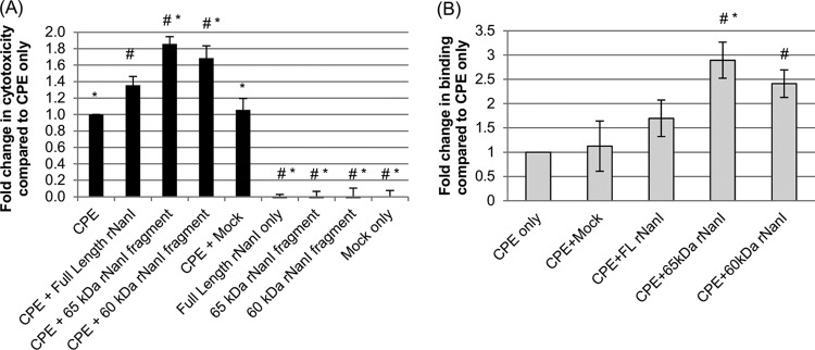 FIG 6