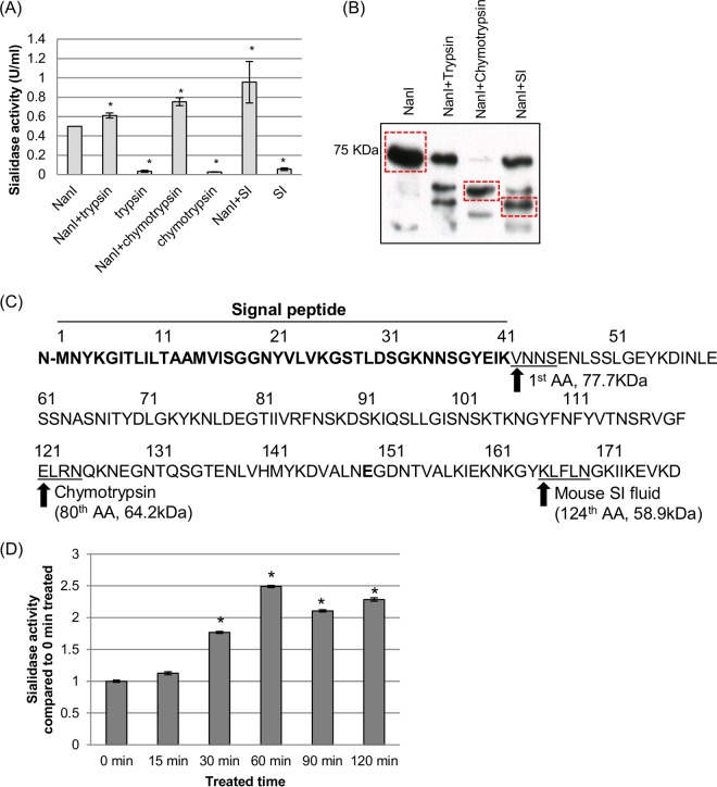 FIG 4