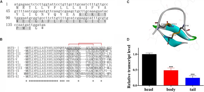 FIGURE 1