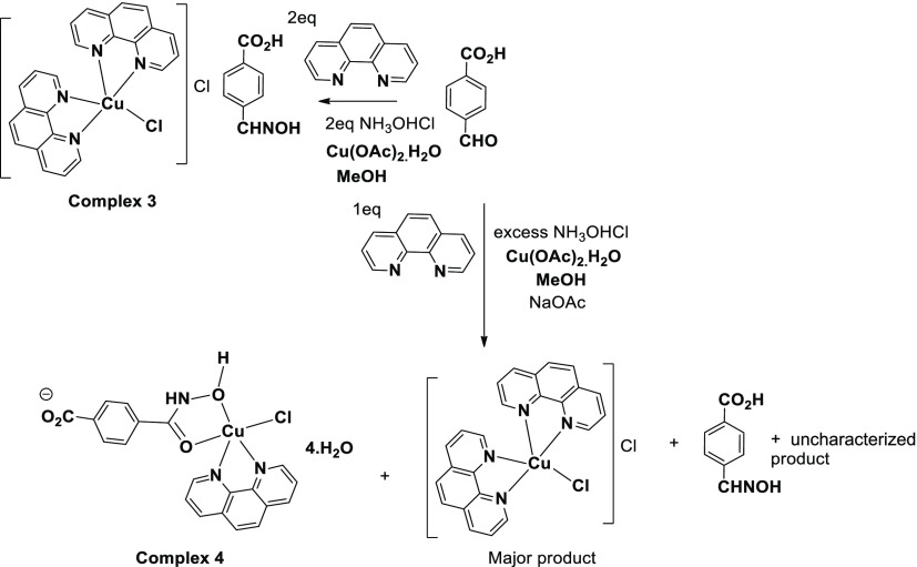 Scheme 3