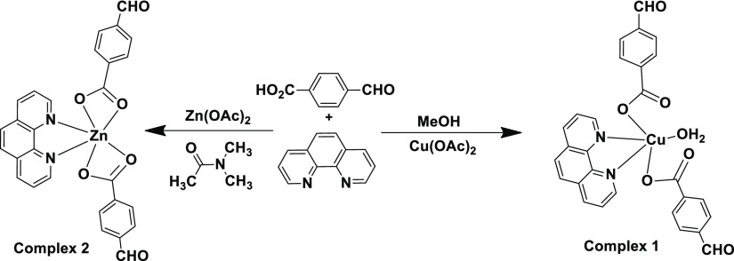 Scheme 2