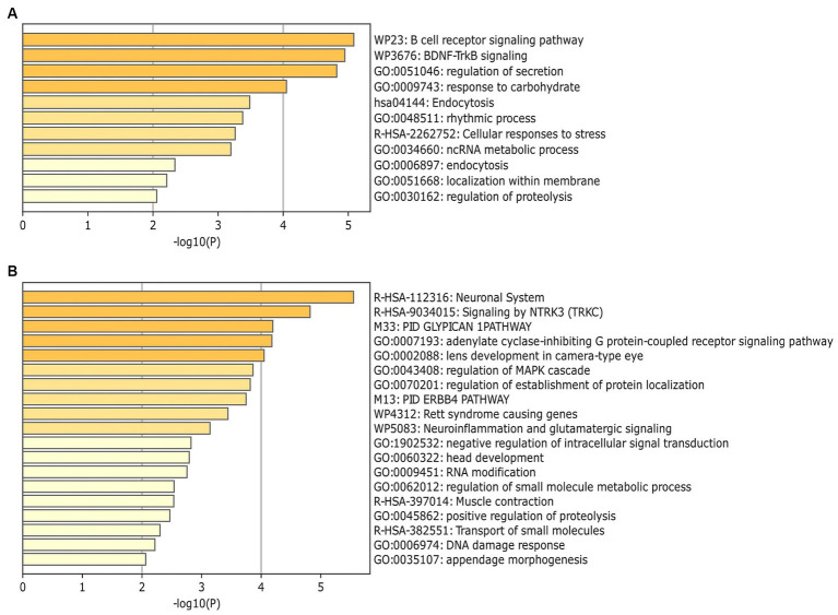 Characterization Of Exosomal Micrornas In Preterm Infants Fed With 