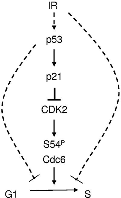 FIG. 7.