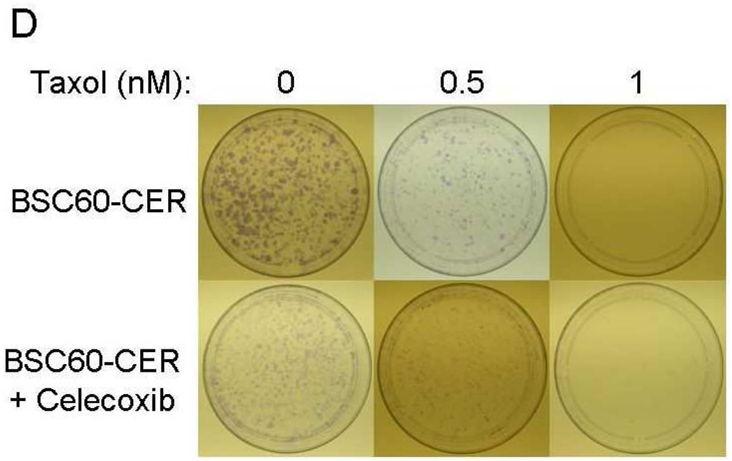 FIG. 7