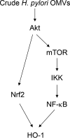 FIG 9