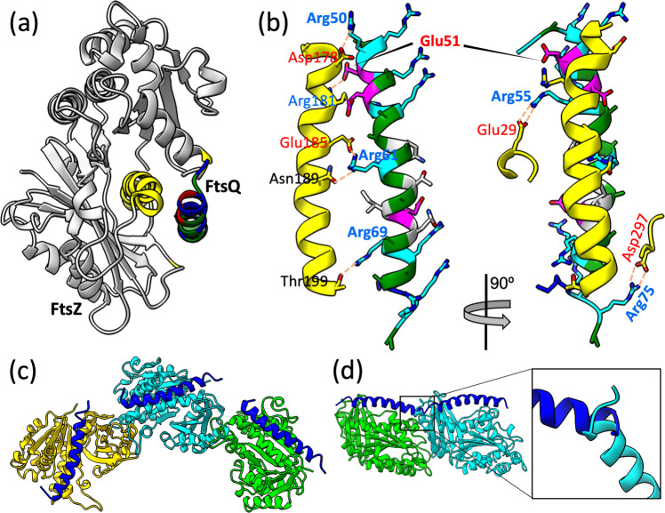 Fig. 8