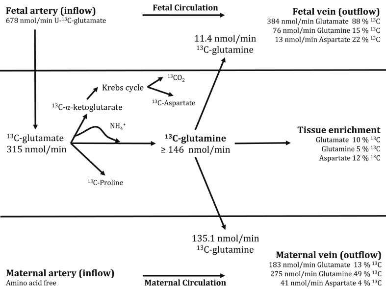 Fig. 3