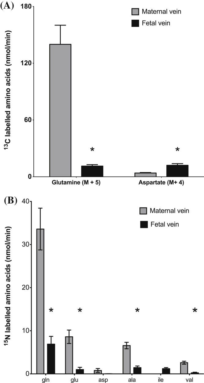 Fig. 1