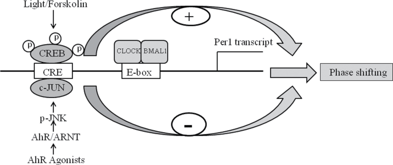 FIG. 7.