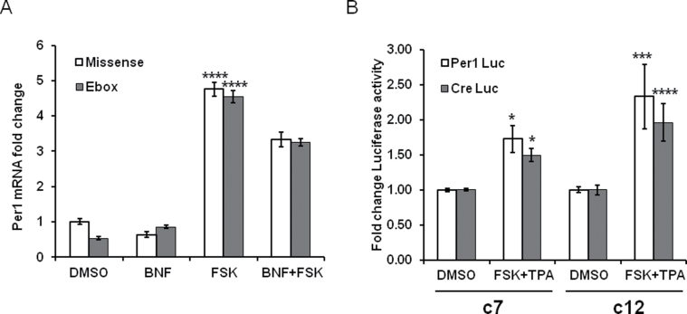 FIG. 4.