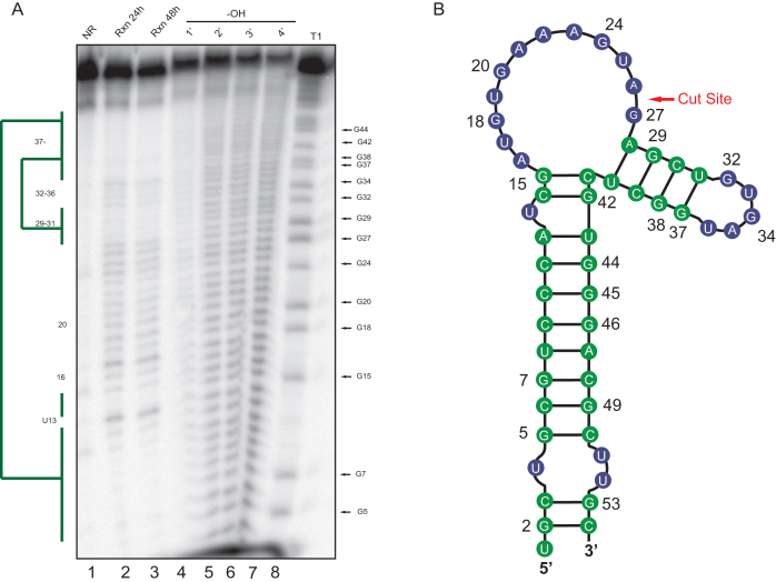 Figure 3.