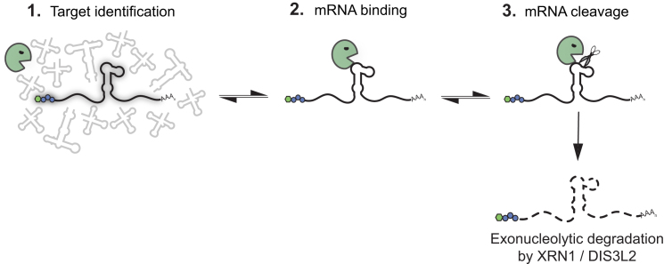 Figure 7.