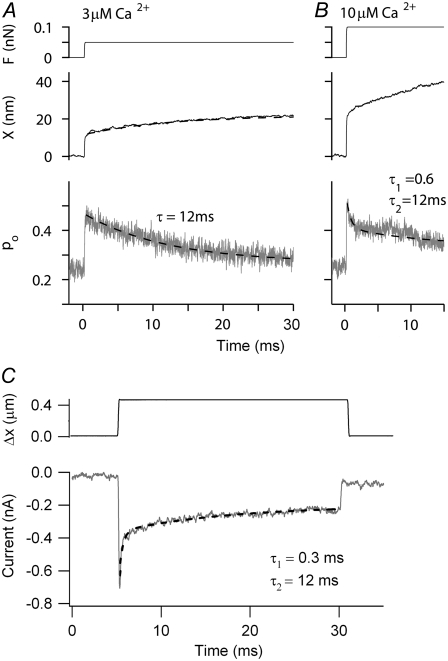 FIGURE 11