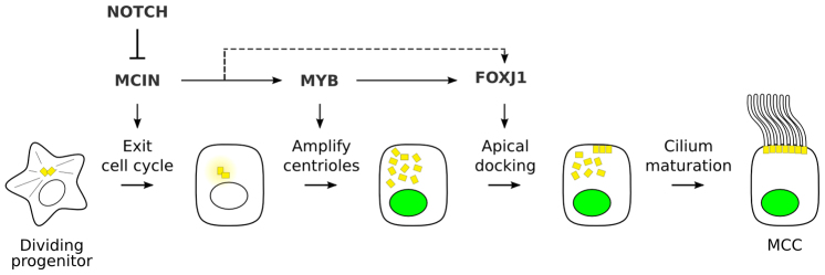 Fig. 8.