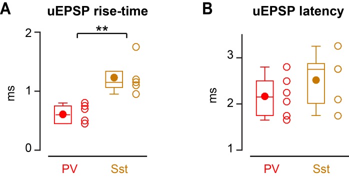 Figure 4—figure supplement 1.