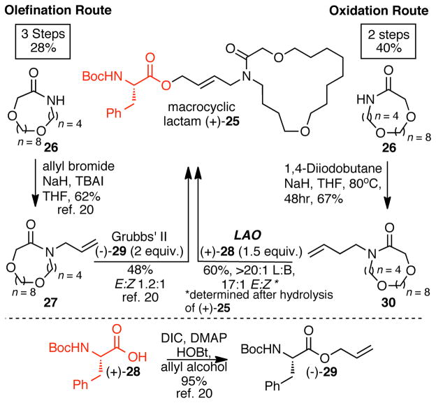 Scheme 4