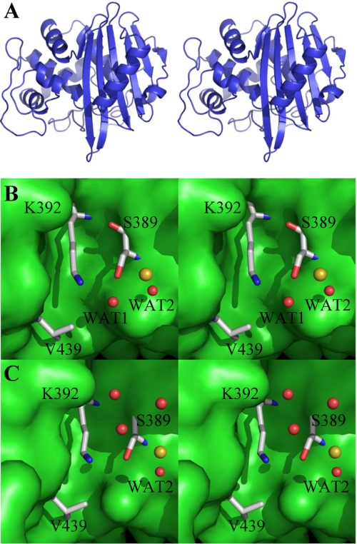 FIGURE 3.