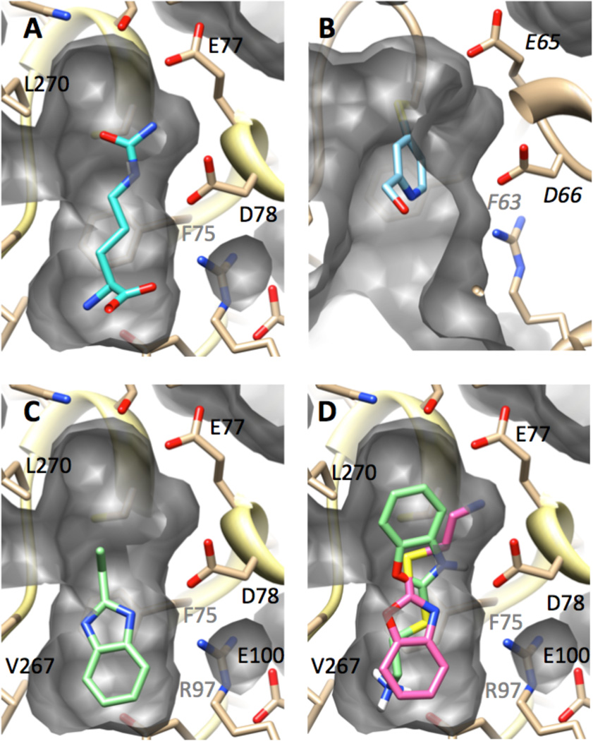 Figure 7