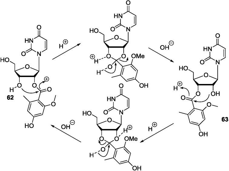 Scheme 6