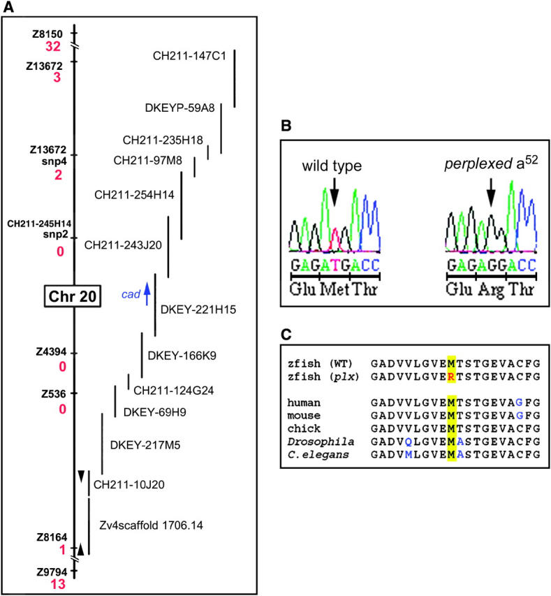 Figure 2.—