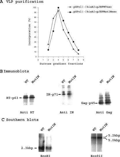 FIG. 6.