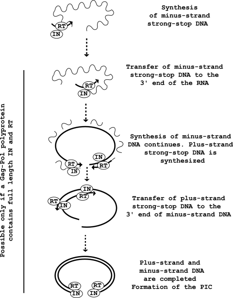 FIG. 7.