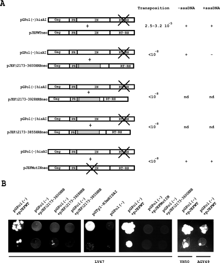 FIG. 4.