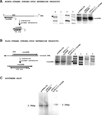 FIG. 5.