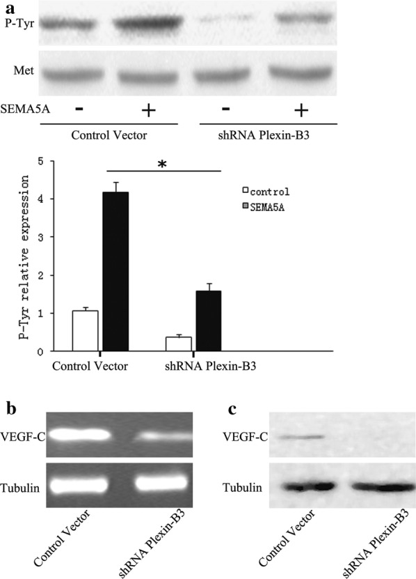 Fig. 6