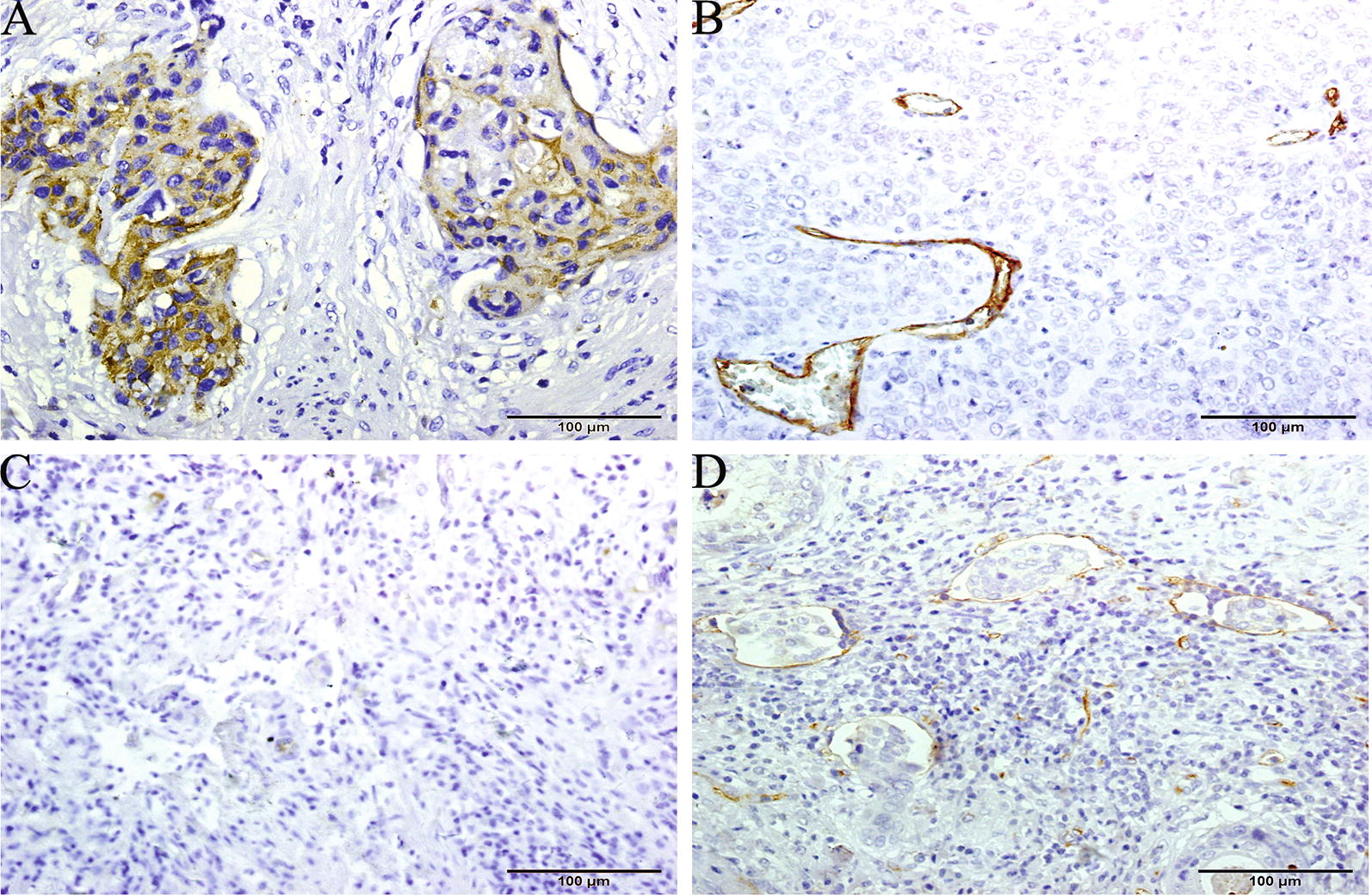 Fig. 2