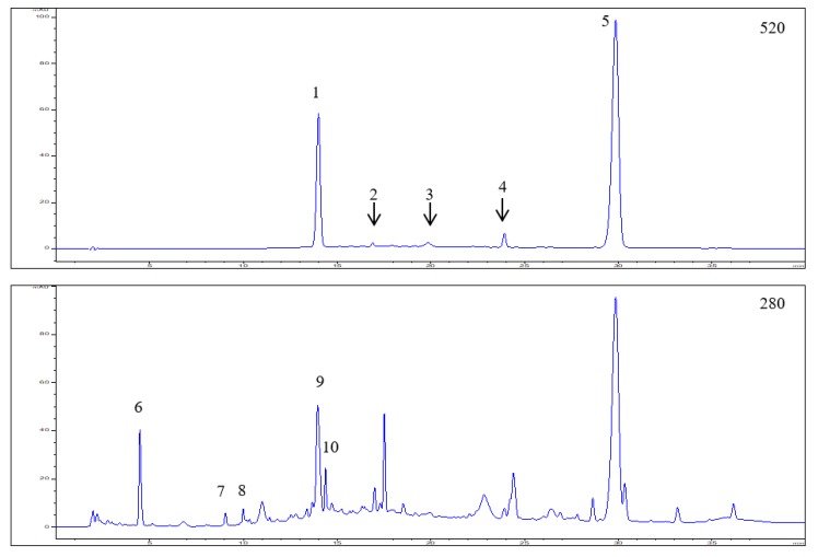 Figure 1