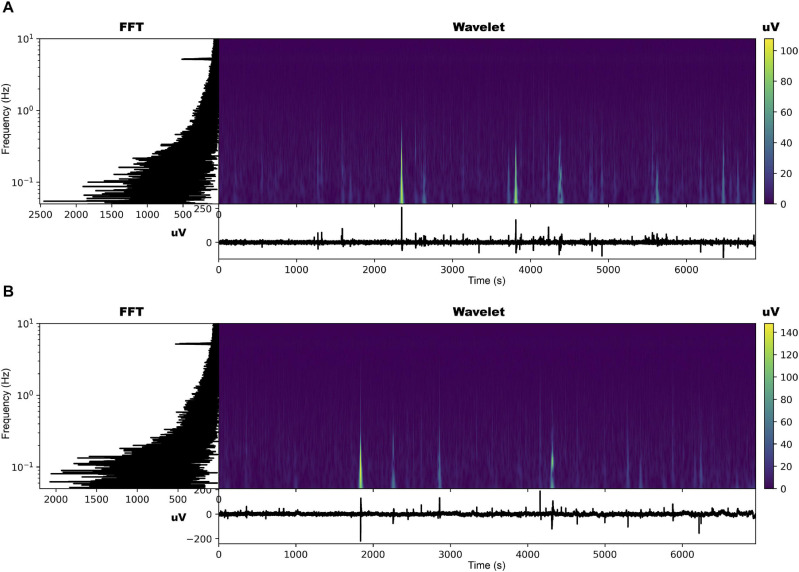 FIGURE 3