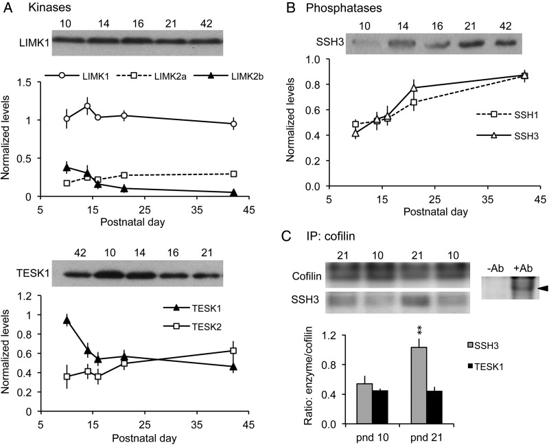 Figure 3.