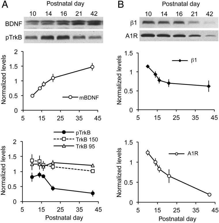 Figure 2.