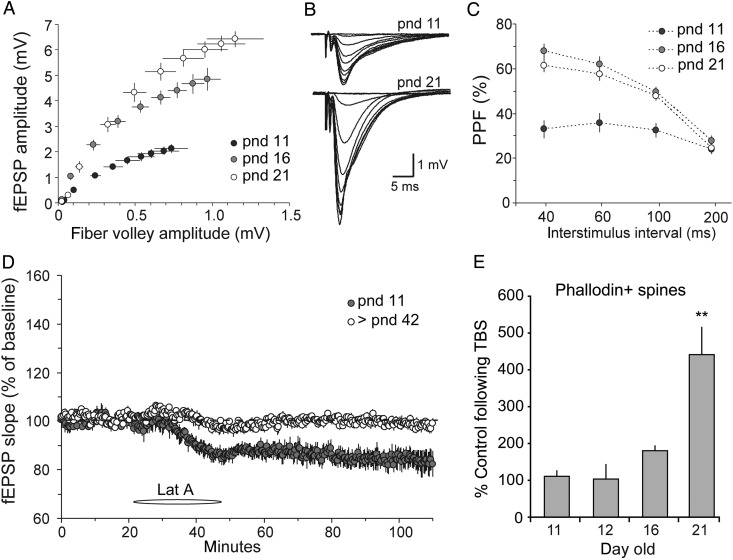 Figure 6.