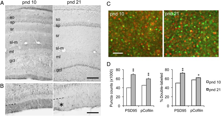 Figure 4.