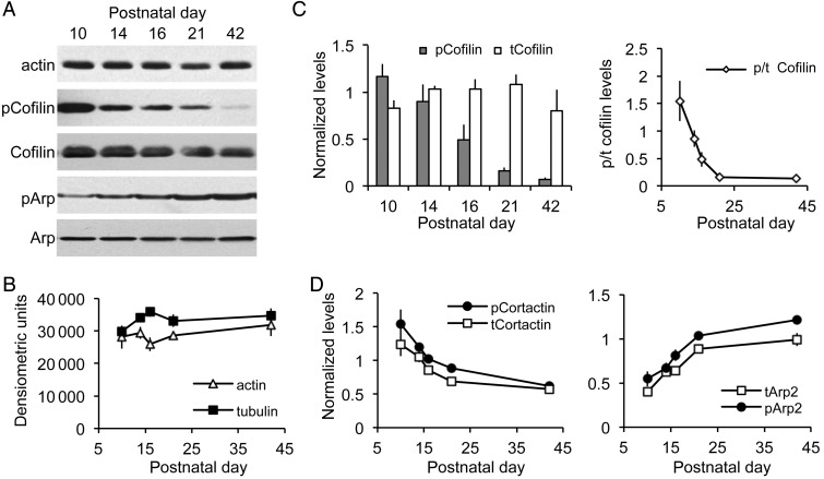 Figure 1.