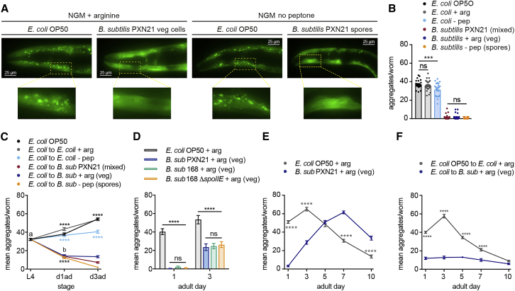 Figure 4