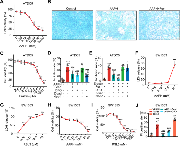 Phospholipid peroxidation-driven modification of chondrogenic ...