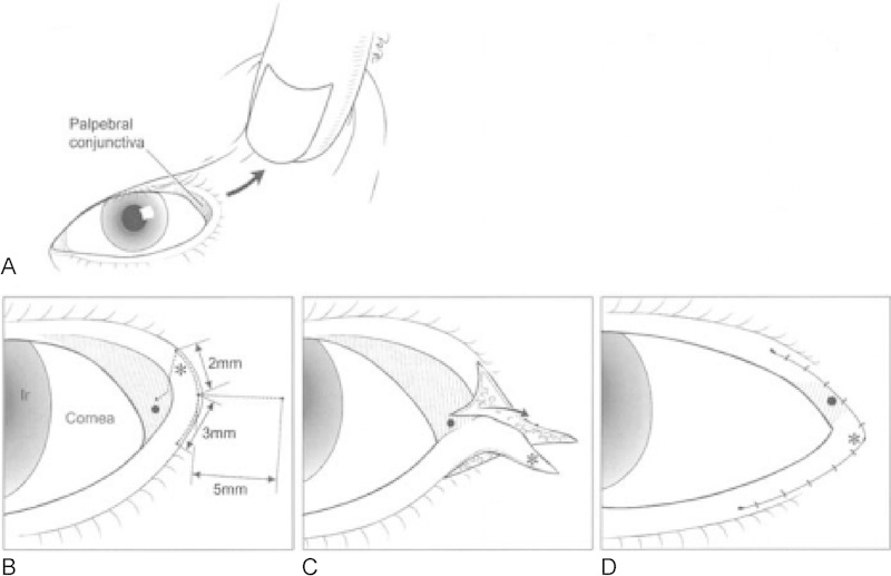 Fig. 9